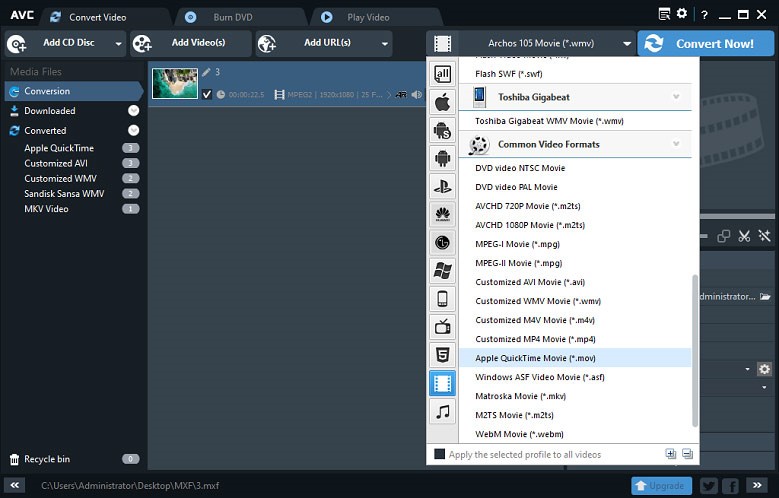 Any Video Converter interface.