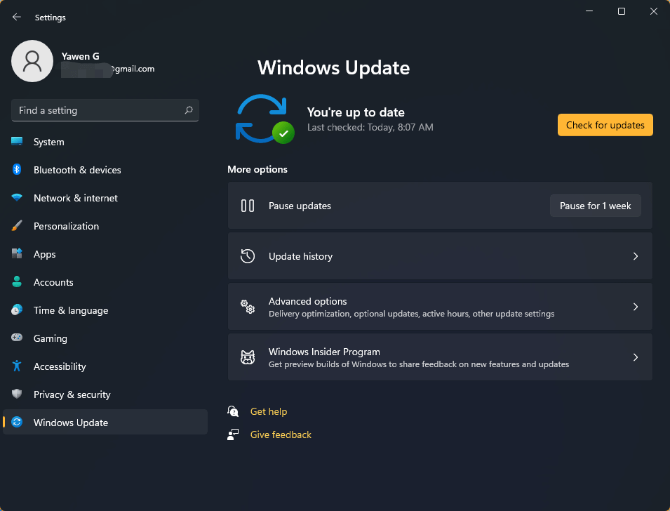 The expanded Windows Update tab in the Windows 11 Settings app.