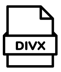 DivX file