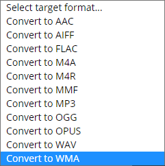 select the Convert to WMA option from the list