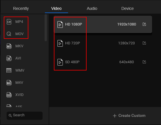 Select video format