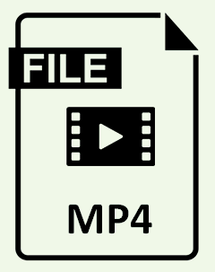 MP4 format