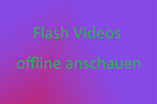 2 Möglichkeiten für das Herunterladen der Flash Videos