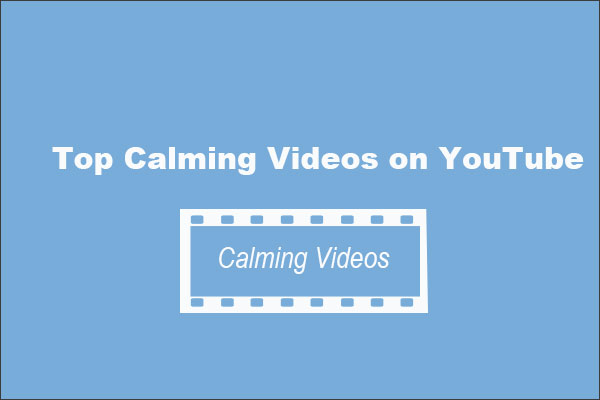 Top Calming Videos on YouTube [Download Them Now]