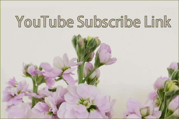 How to Make a YouTube Subscribe Link to Get More Subscribers?