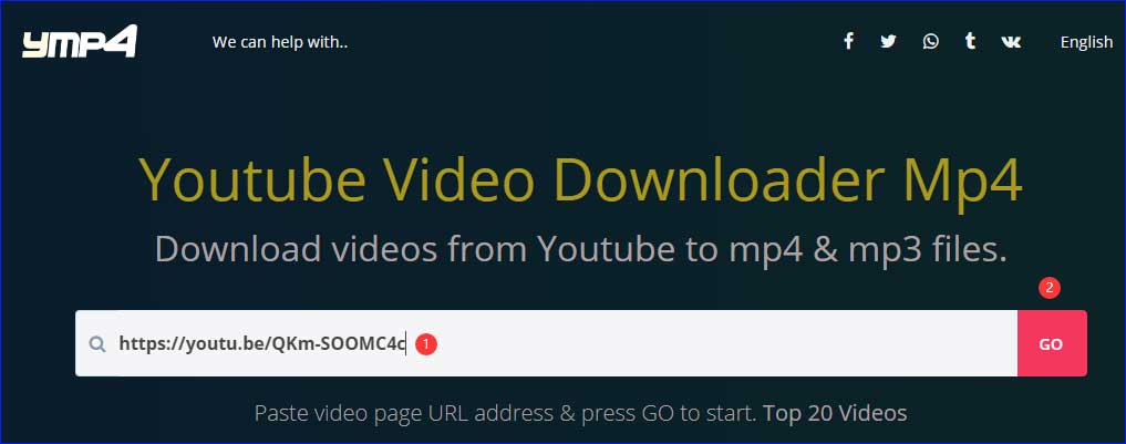 paste a video URL