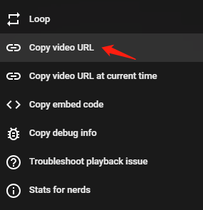 select Copy video URL
