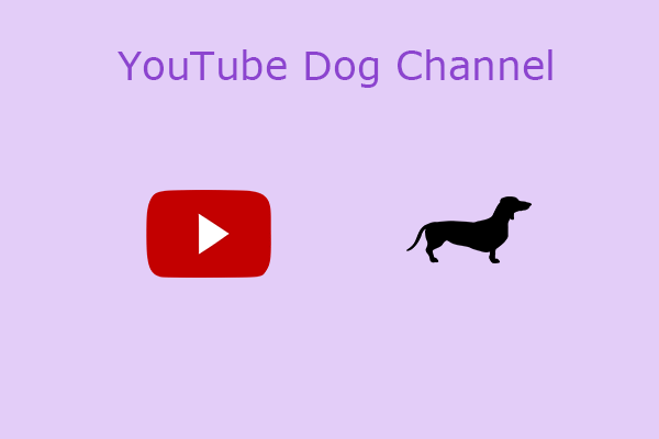 7 Best YouTube Dog Channels to Follow for Dog Lovers