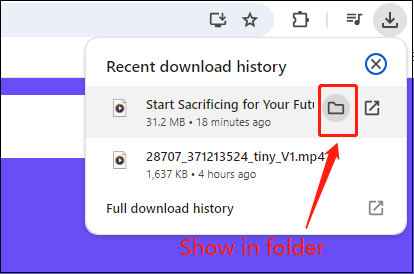 「Show in folder」をクリック