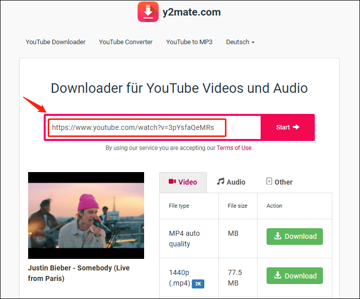 Kopieren und fügen Sie die Video-URL in die Suchleiste ein