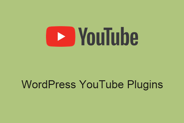 Best WordPress YouTube Plugins for Your Websites in 2024