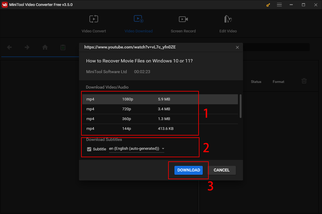 choose output format and subtitles