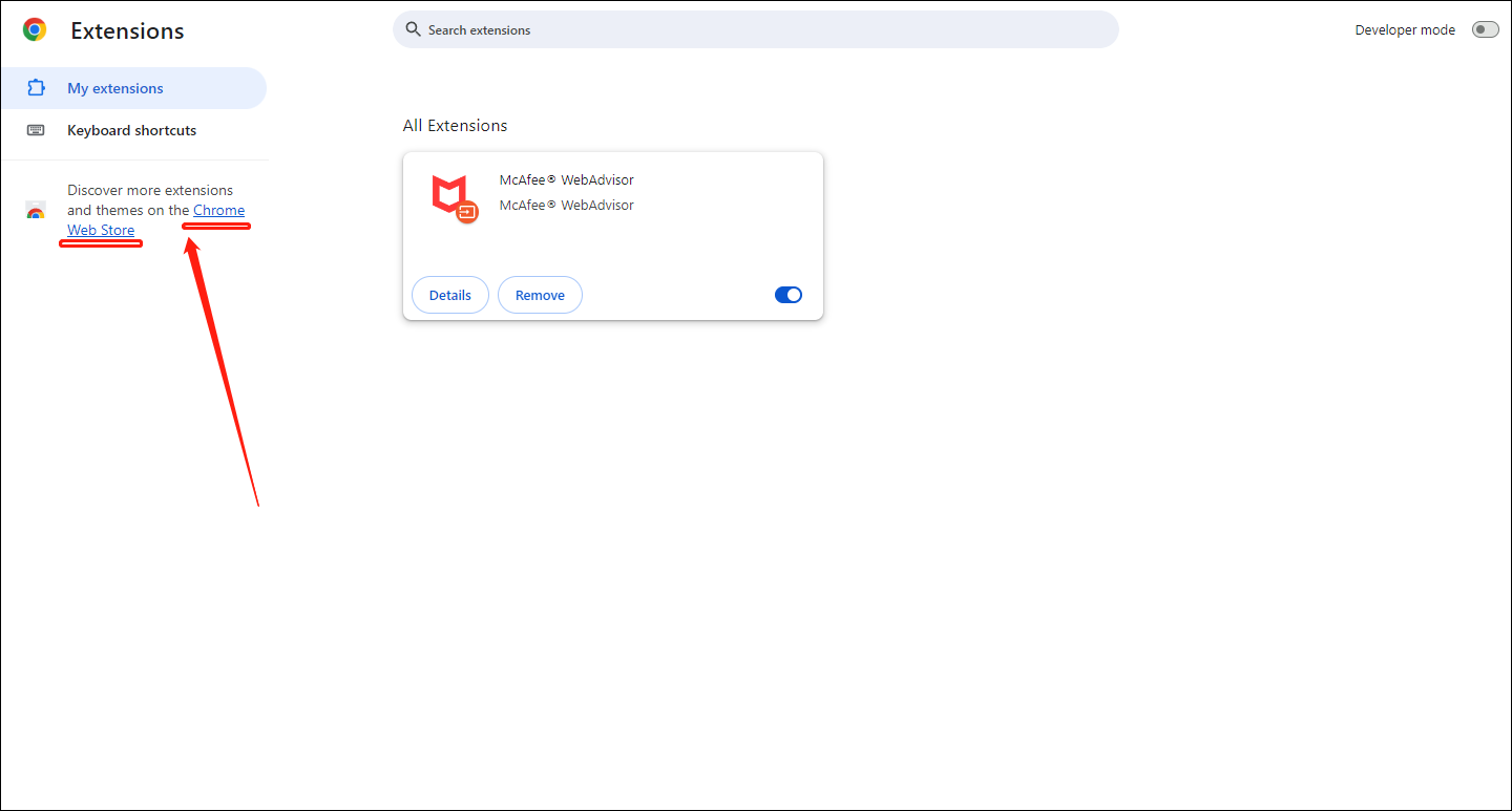 Click Chrome Web Store