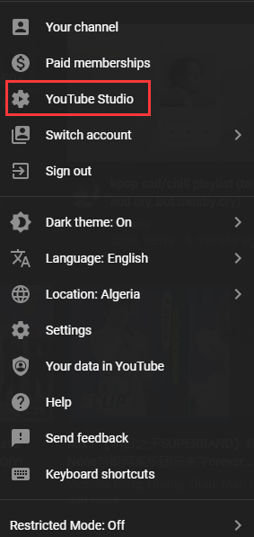 seleccione la opción YouTube Studio