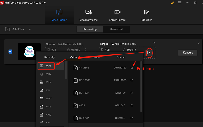 choose MP4 format