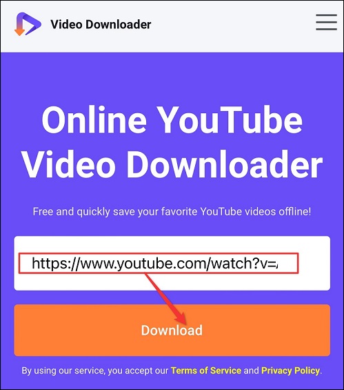 paste the video link and click on the Download button