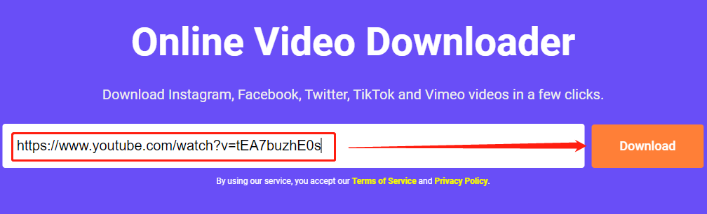 paste the video link into the box and click Download