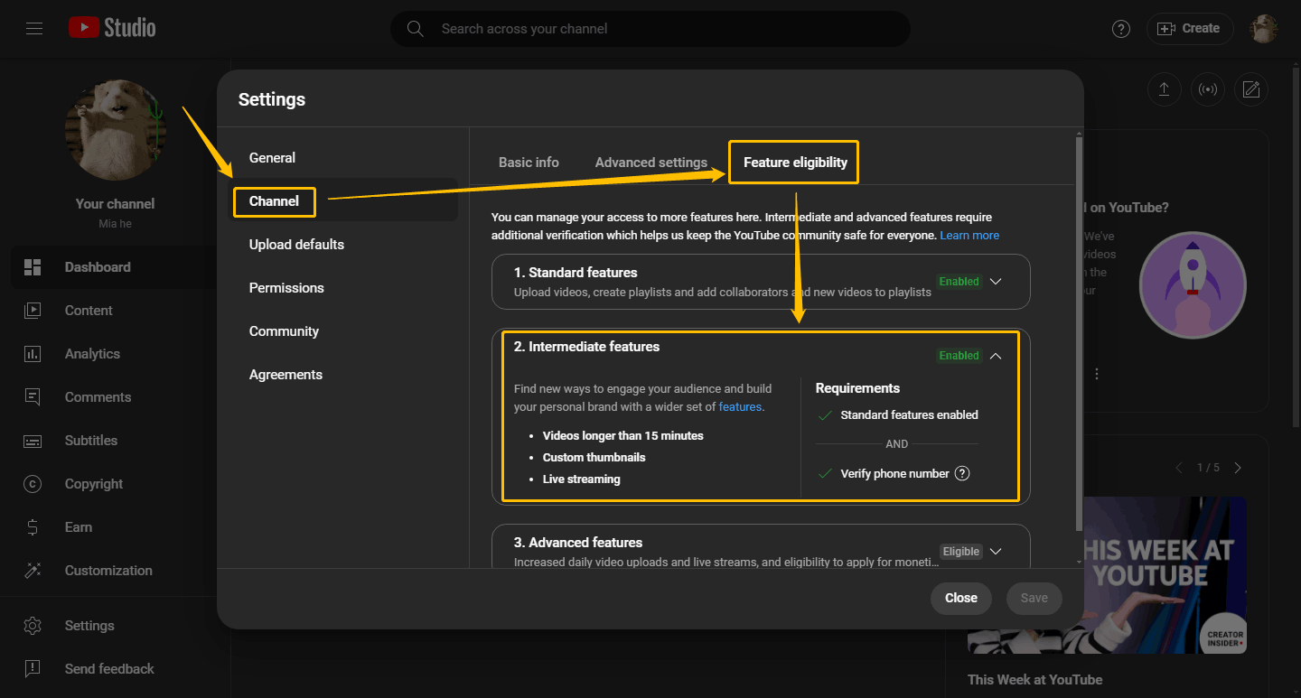 Find Intermediate Features