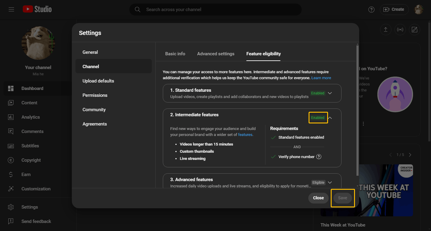 Enable the Intermediate Features Option