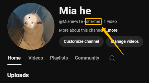 Find your pronouns under the channel name.