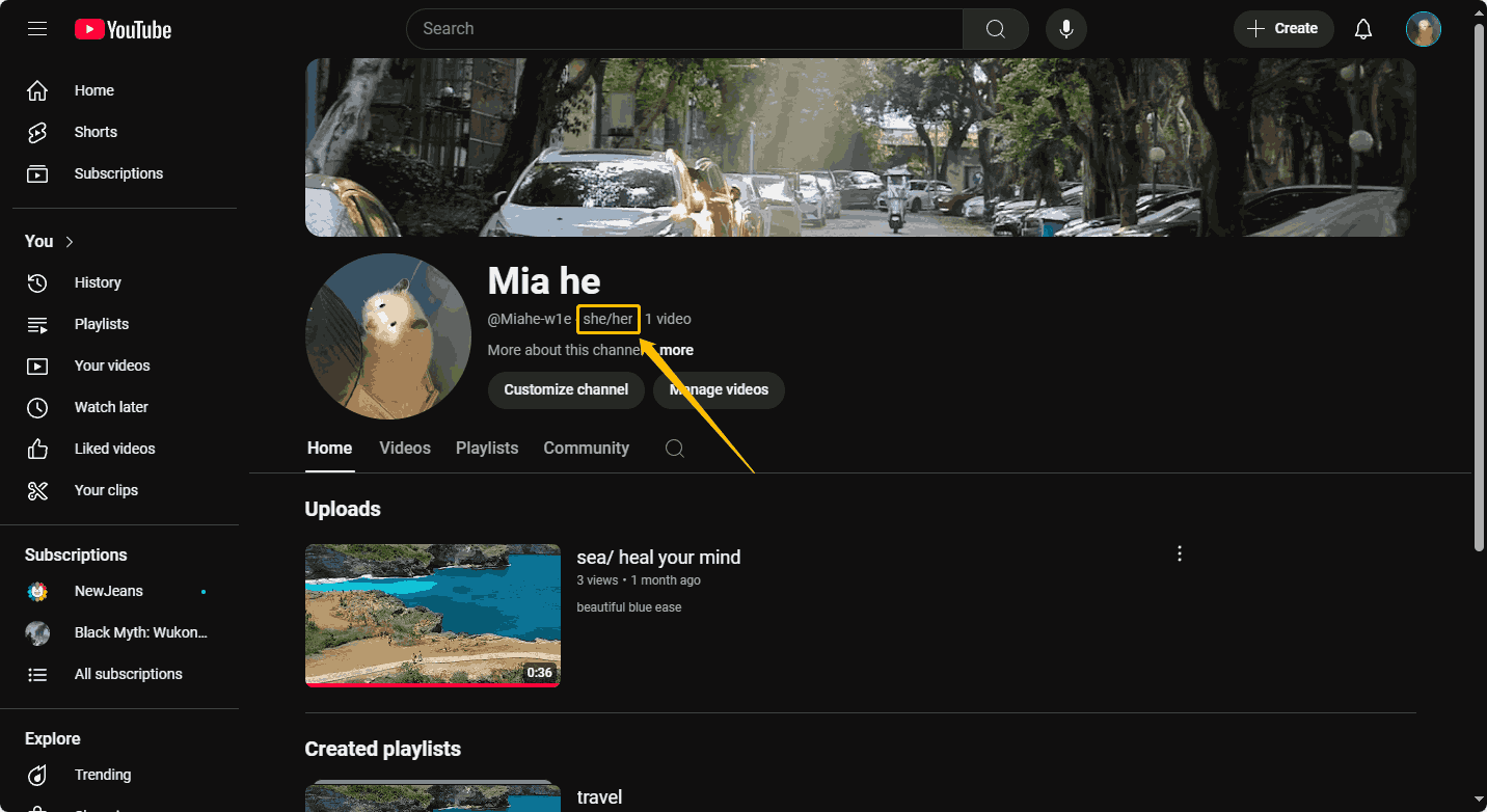 Find your pronouns under your channel name.