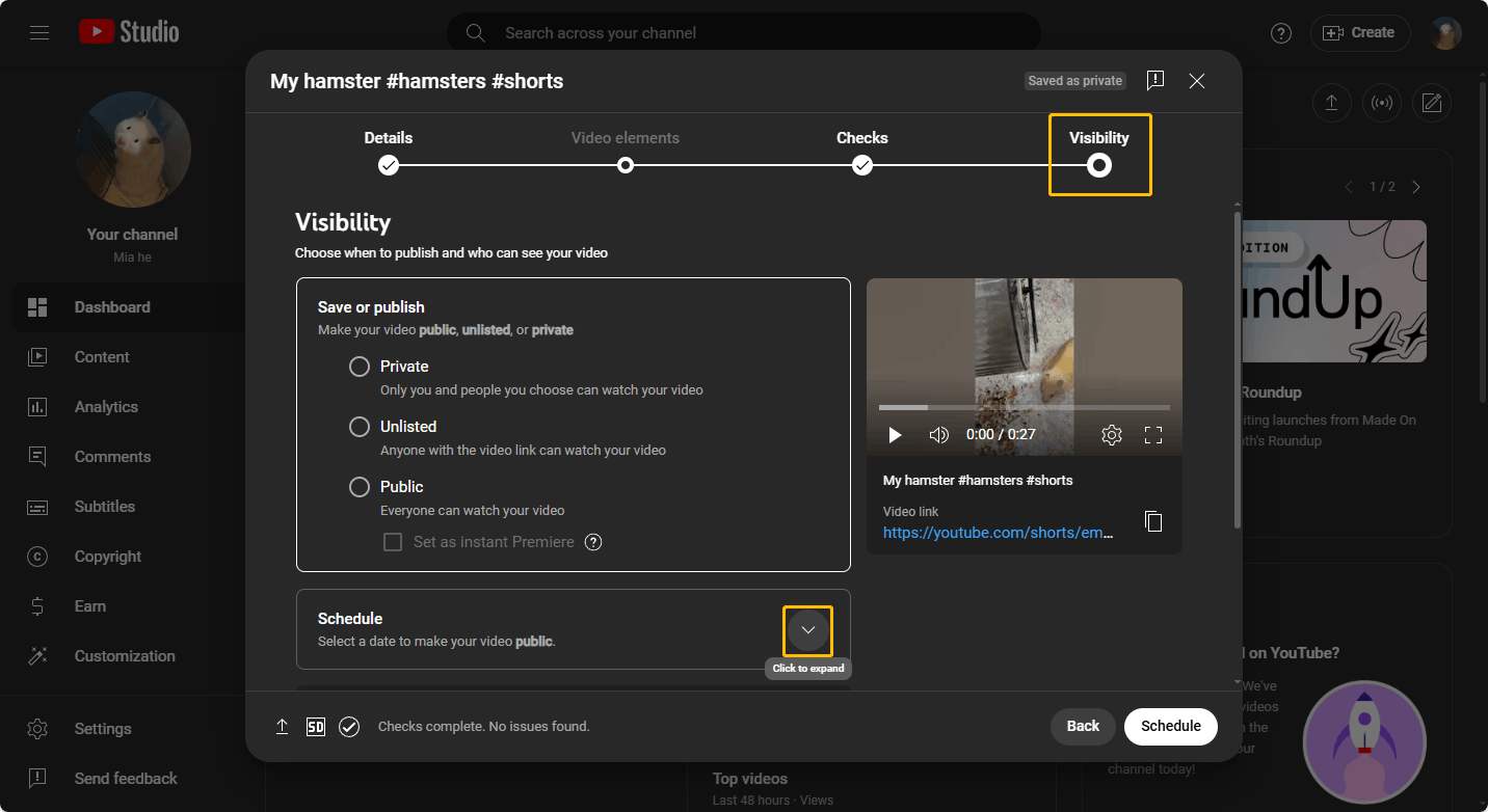 Navigate to the Visibility tab and expand the Schedule option