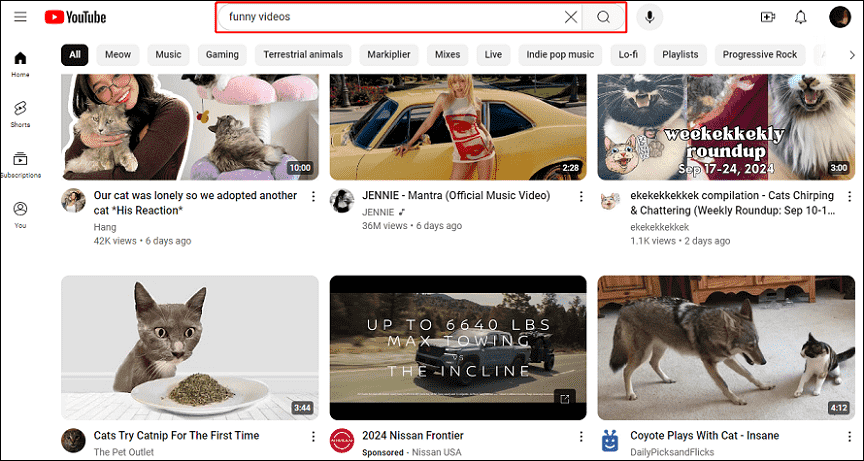 Type the search term and click Search to search for videos on YouTube