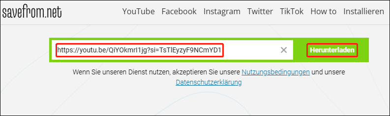 Fügen Sie den Videolink in die Adressleiste ein