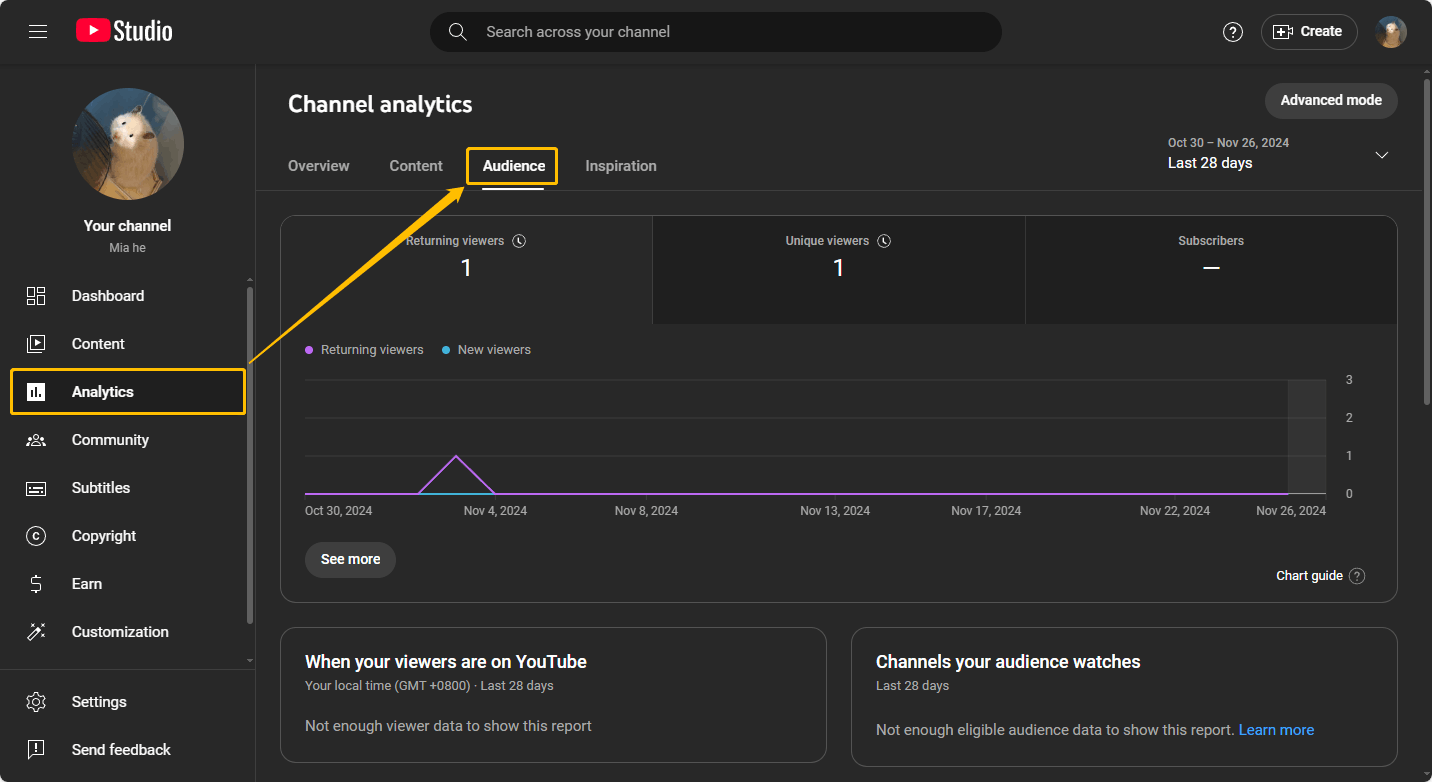 Navigate to the Analytics tab in the left panel and then choose the Audience option