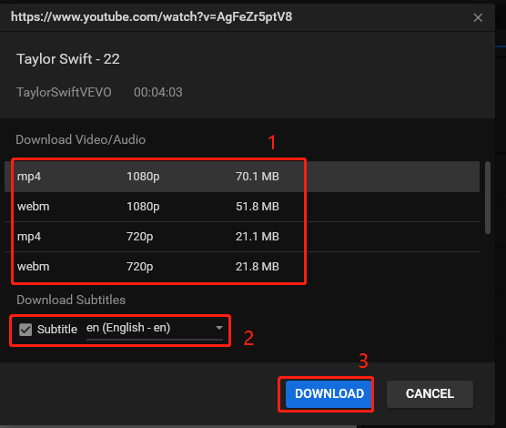 Choose output format and whether to download subtitle and click Download to start downloading the video in MiniTool Video Converter