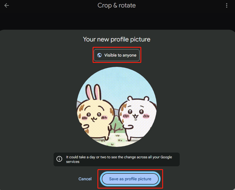 Click Visible to anyone to set the visibility of your profile picture and choose the Save as profile picture option to set the GIF as your Google profile picture