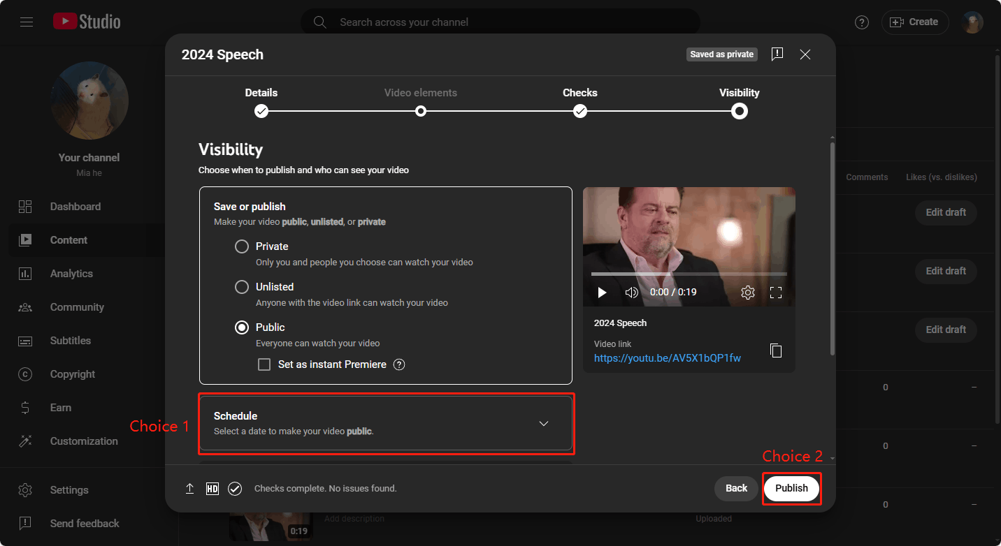 Choose a time to schedule the video or click the Publish button to upload the video right now
