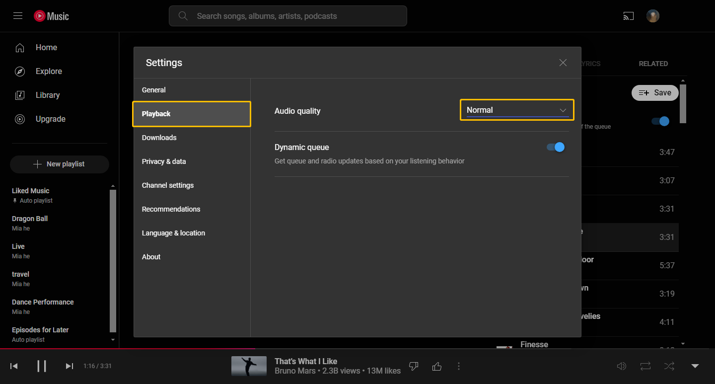 Choose the Playback tab at the left panel and expand the Audio quality option