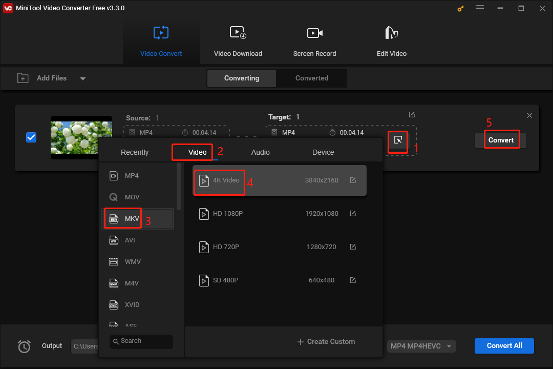 converter vídeo descarregado para MKV