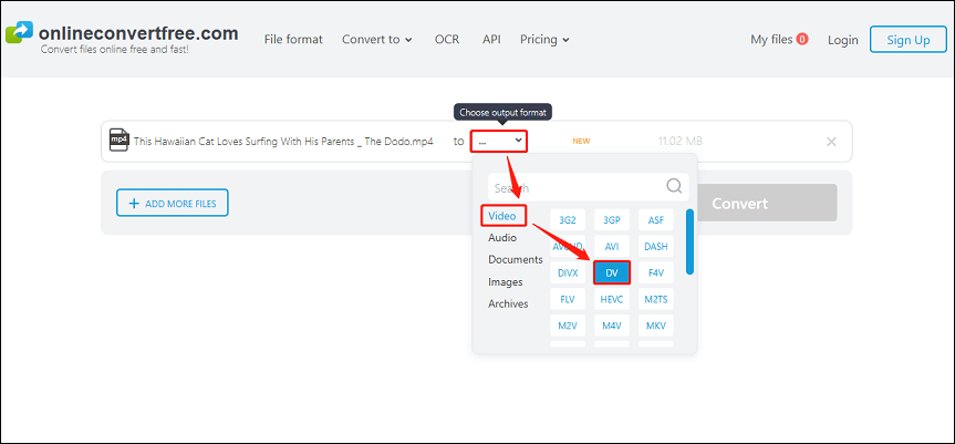 Choose the DV format to convert YouTube to DV with OnlineConvertFree