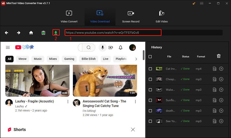 Fügen Sie den Video-Link ein und klicken Sie auf das Download-Symbol, um den Download zu starten in MiniTool Video Converter