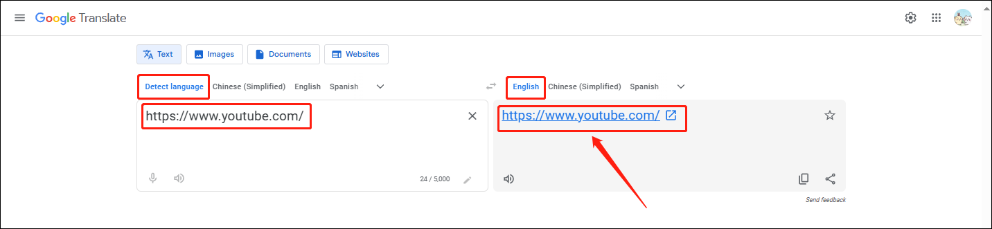 Set the source language as Detect language and the target language as English, paste YouTube URL in the left box, and click the URL in the right box