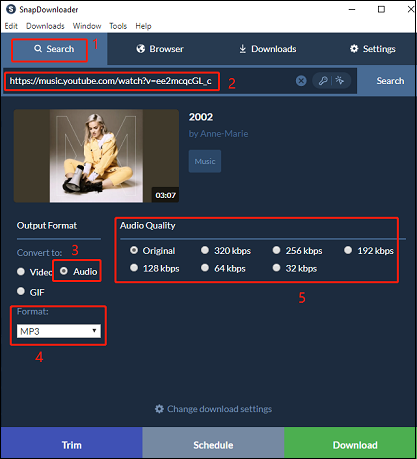 Paste the music link, choose the audio format, and quality to prepare to download the YouTube Music song in SnapDownloader