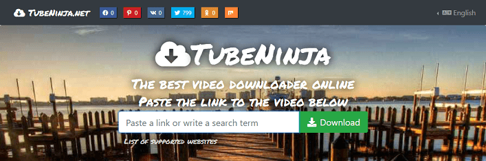 The YouTube videos downloading interface of TubeNinja