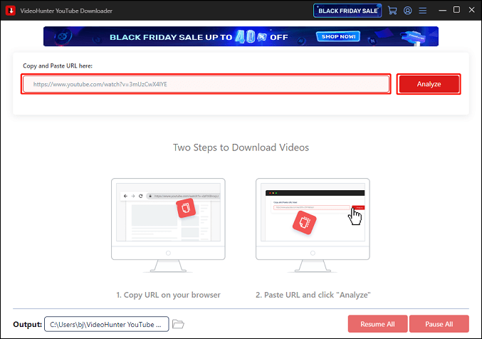 Paste the copied video URL into the address box and click on Analyze