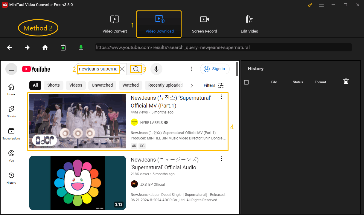 Choose the Video Download tab, enter keywords in the search box, and click the magnifying glass button to search for a specific video