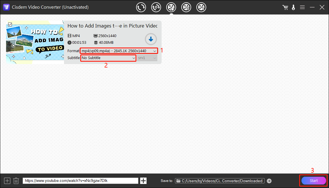 Select the output format, choose whether to download the subtitles, and click Start