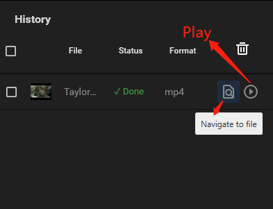 Click Navigate to file to locate the downloaded video and click Play to play the video directly on your computer