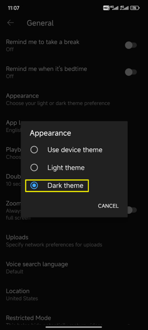 Choose the Dark theme option