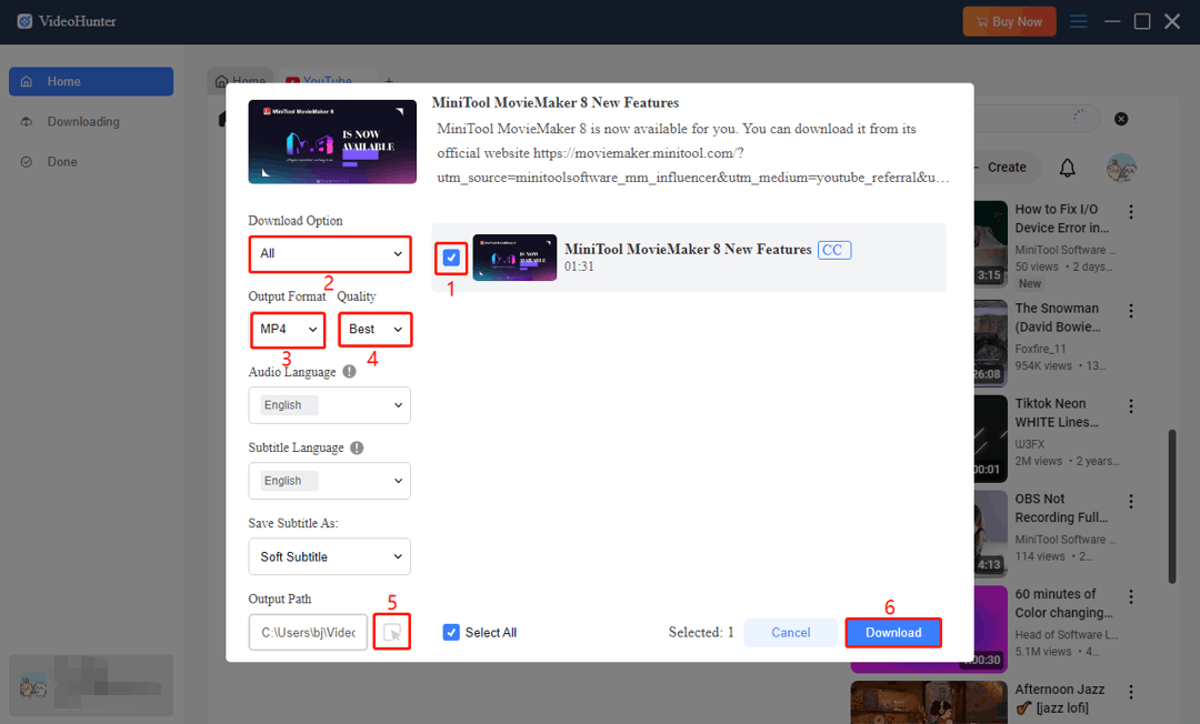 Tick on the songs you want to download, set a download option, output format, video or audio quality, save path, and click Download