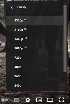 Choose the 8K resolution from the Quality menu on YouTube