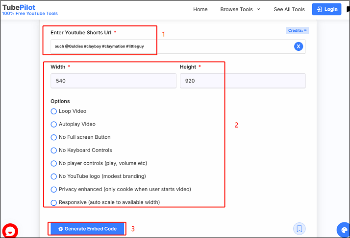 Paste the video link, choose some options, and click on Generate Embed Code in TubePilot