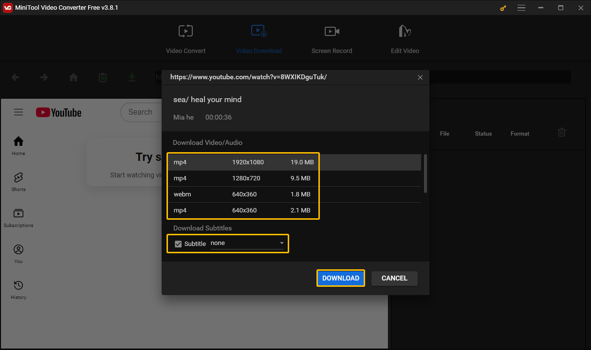 Choose downloaded format, select whether to download the subtitles, and click on DOWNLOAD