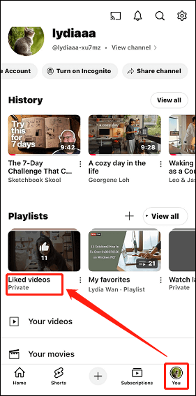 Tap on the You tab and select Liked videos on the mobile YouTube app