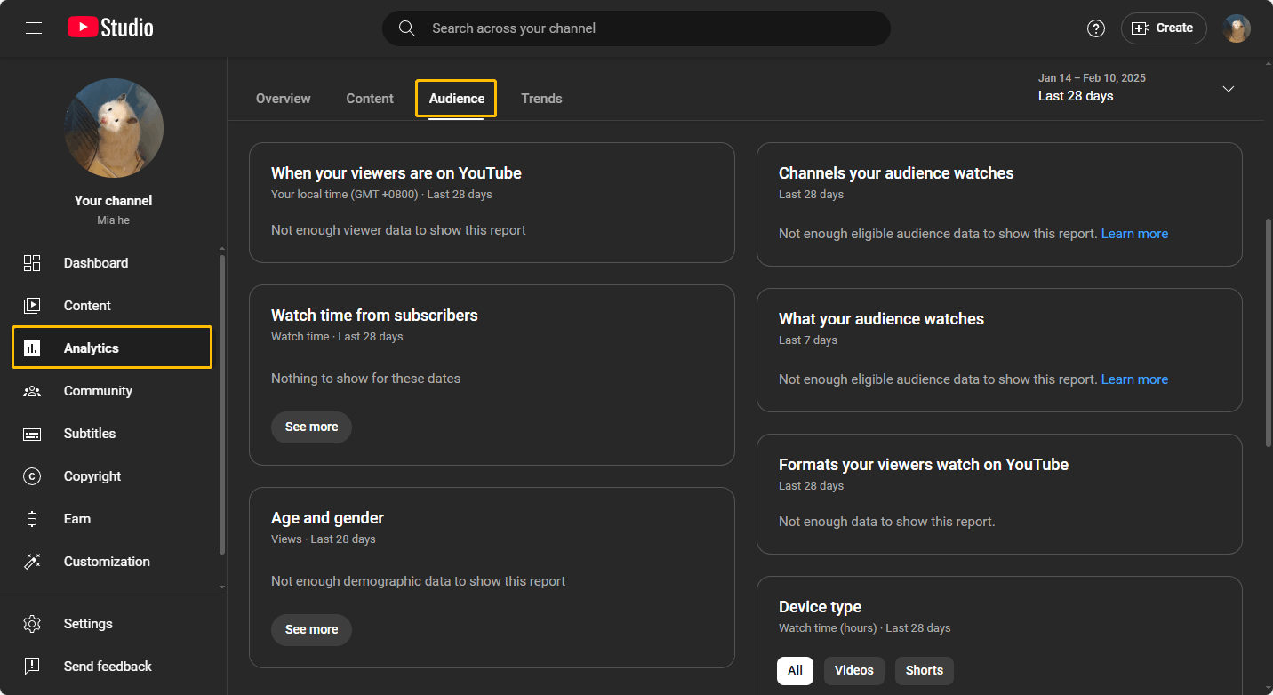 Choose Analytic on the left and select the Audience tab